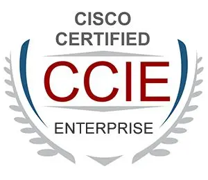 what is ccie - why ccie certified engineers are vital for IT uptime - ccie certified it support dubai - it amc services in dubai - itserve